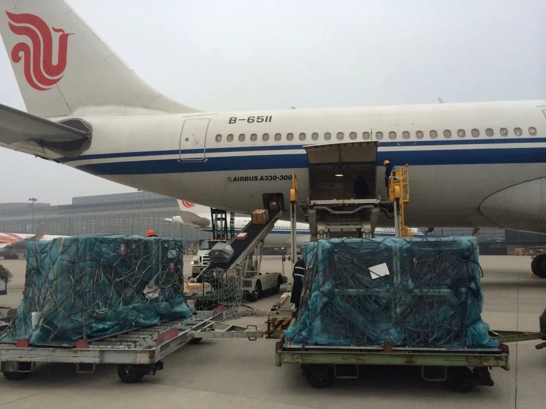 乐器怎么运输,乐器托运怎么才能不被损坏