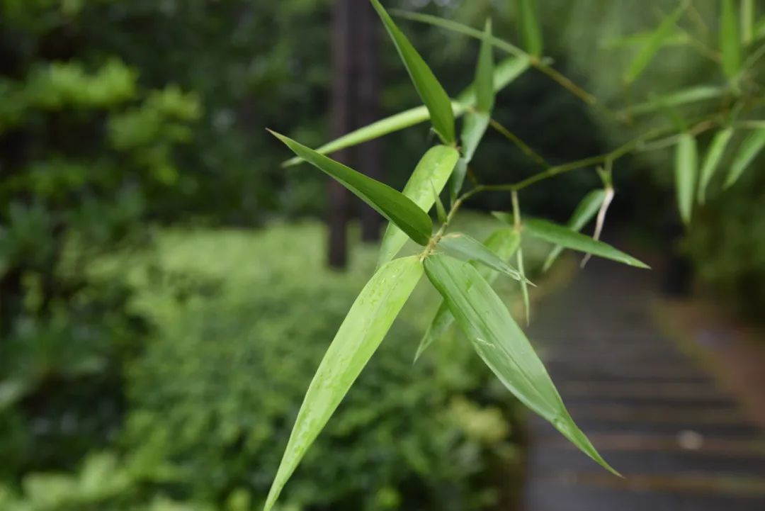 老是感觉身上痒痒的是螨虫吗,总觉得身上痒有虫子爬怎么回事