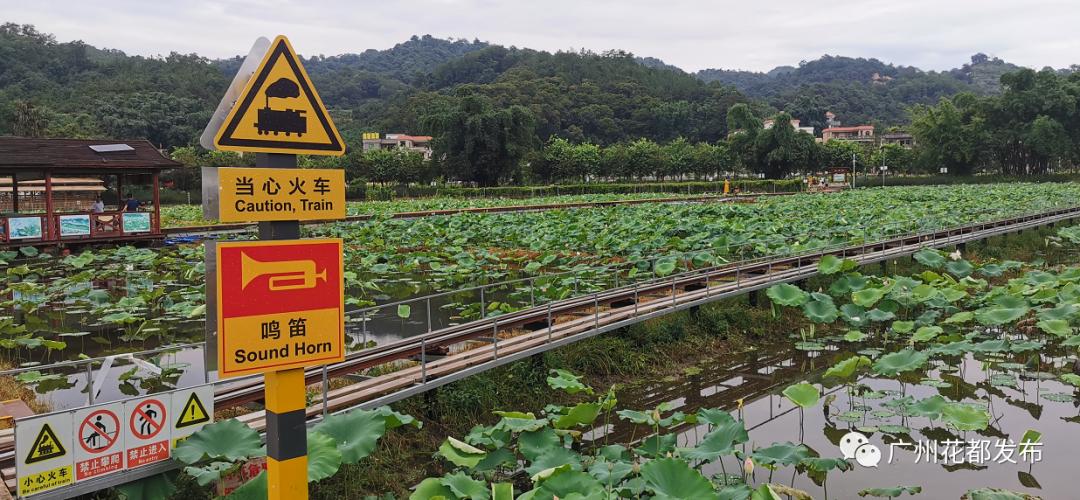花都这些村超级棒!快来助力!