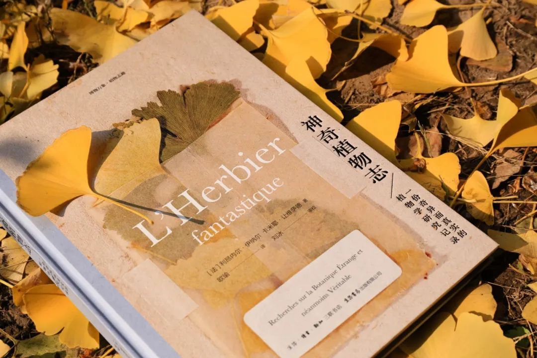 哈利波特霍格沃茨典藏版,哈利波特里的神奇植物