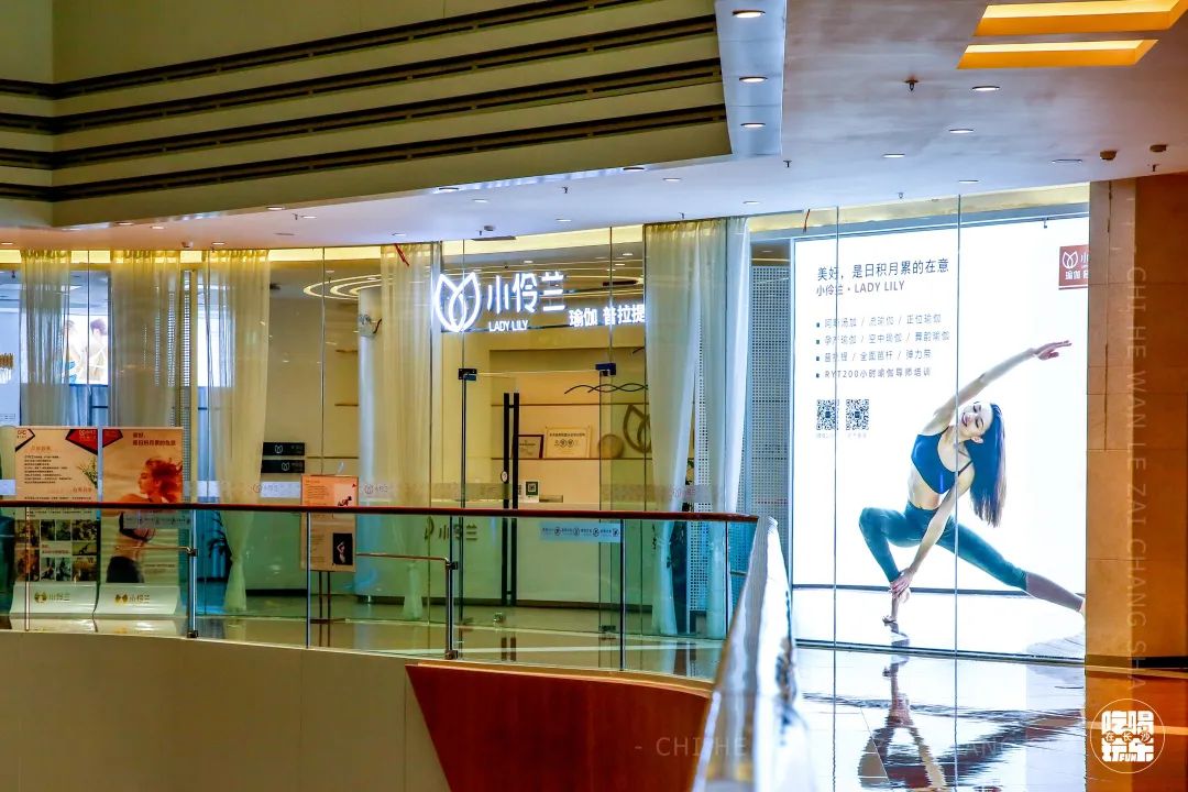 乘风破浪的姐姐们重新出发,乘风破浪的姐姐们要开始重新组团