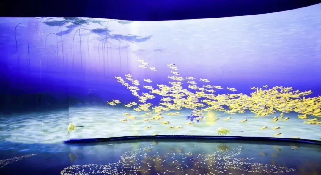 LOOK|欢乐海岸·第9年