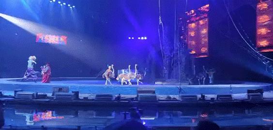 长隆乐园欢乐世界,广州长隆游玩注意事项