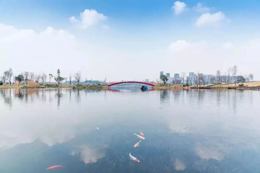 成都景点60岁以上免费门票,成都免费游玩景点推荐