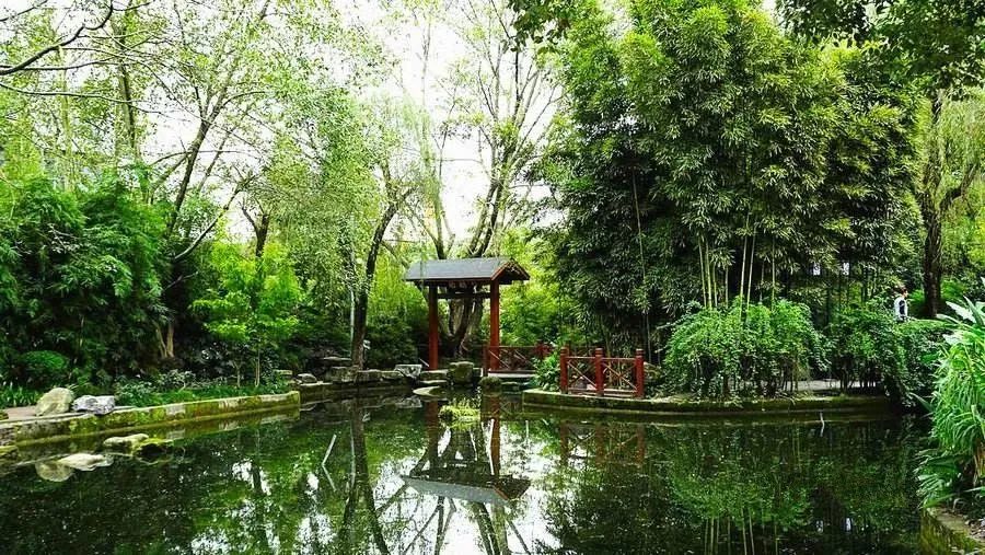 成都景点60岁以上免费门票,成都免费游玩景点推荐