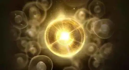 21天冲刺测评,21天报告