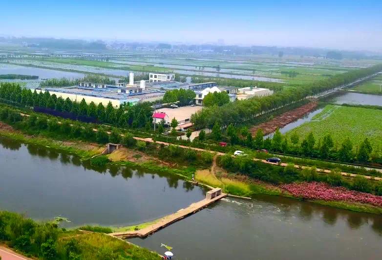 金锣厂生产全过程,金锣公司生产车间