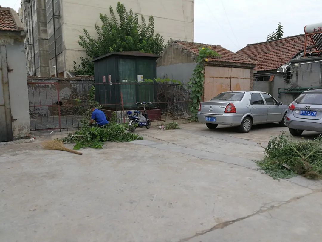 创城工作志愿服务活动通知,创城志愿服务有你有我