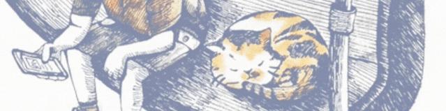 广西南宁塔罗牌店铺涉嫌迷信,塔罗牌是科学还是迷信骗人