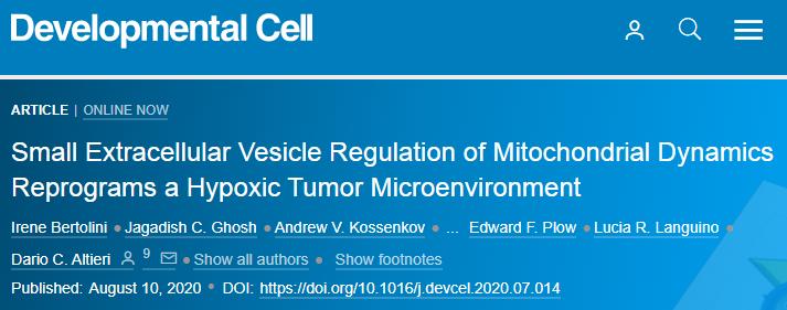 「Cell子刊」乳腺癌细胞利用外囊泡“对话”挟持正常细胞