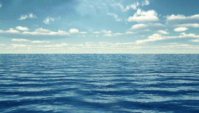 海洋里面有什么护肤成分,海洋护肤成分有哪些