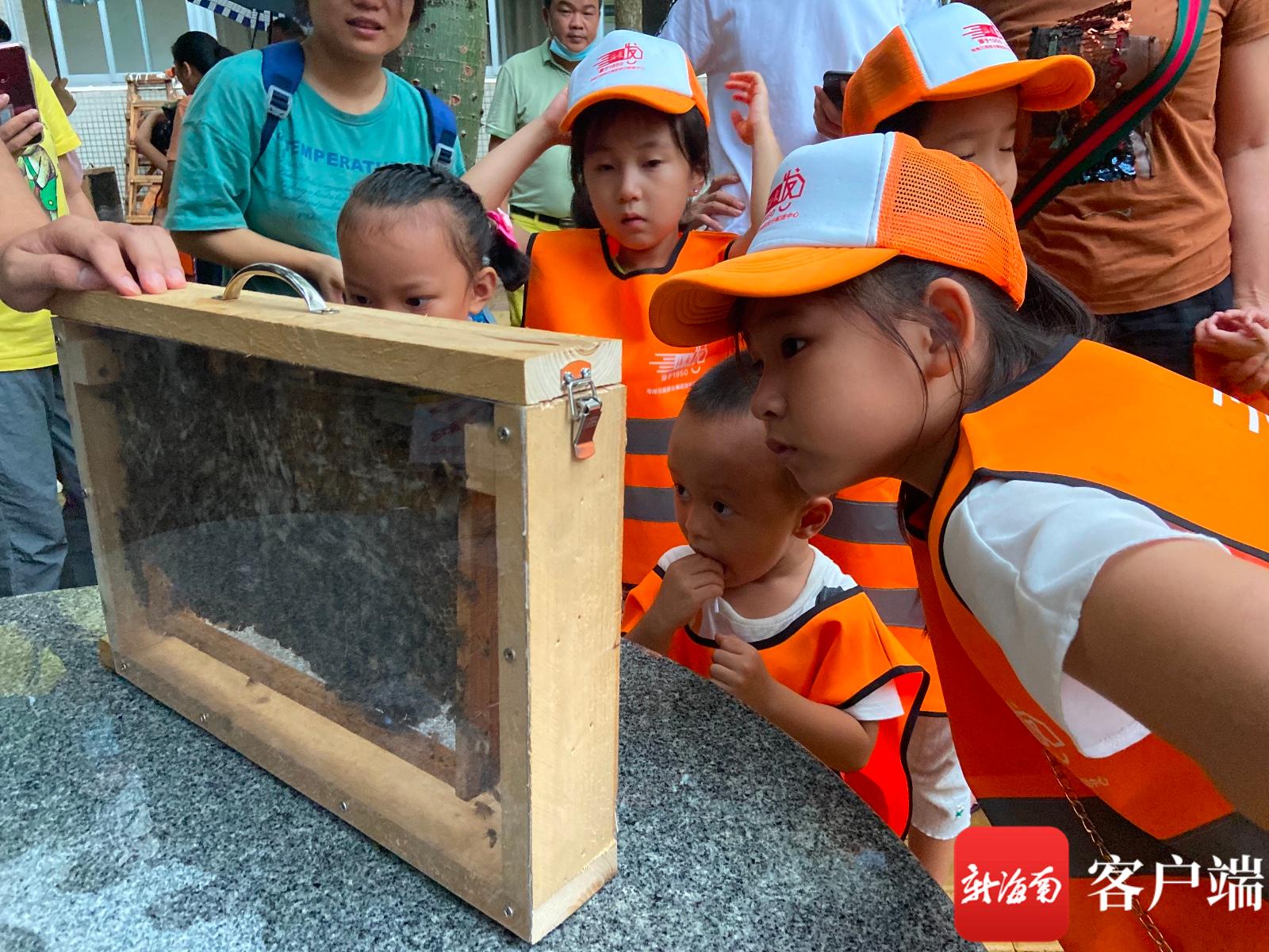 让科学点亮孩子们的眼睛南国卖报纸小行家走进蜜蜂科学实验室