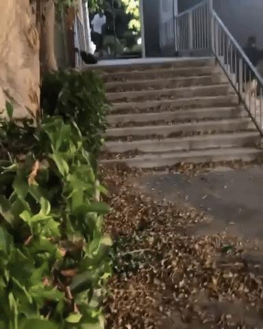 nikedunksb哪几款值得购买,潮鞋推荐nikesbdunk