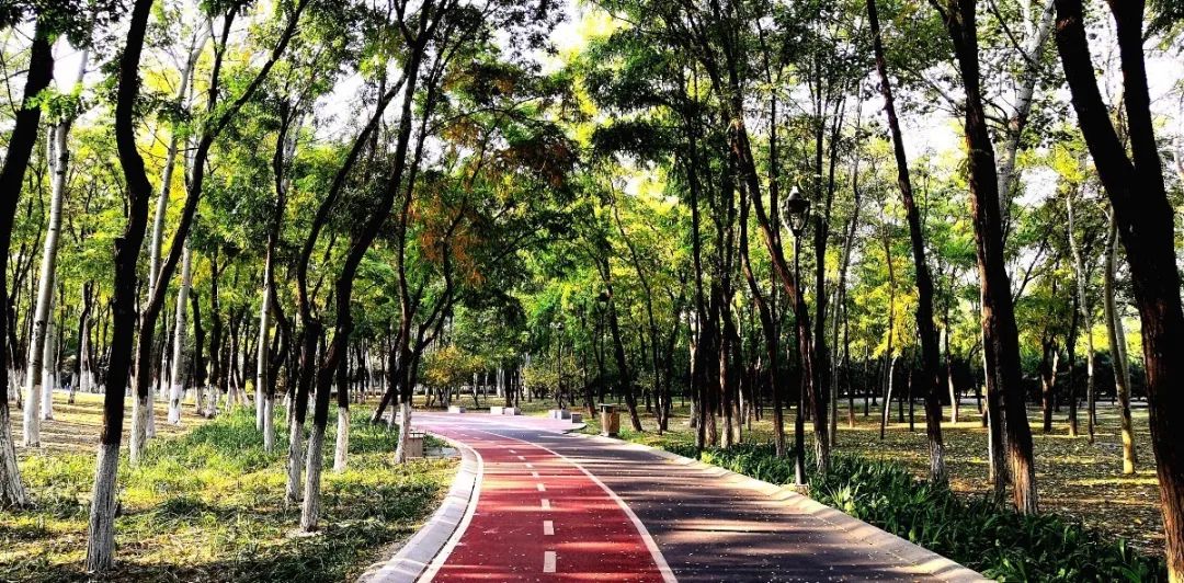 漫游古城享受惬意时光,感受大自然的气息和美景逛新城