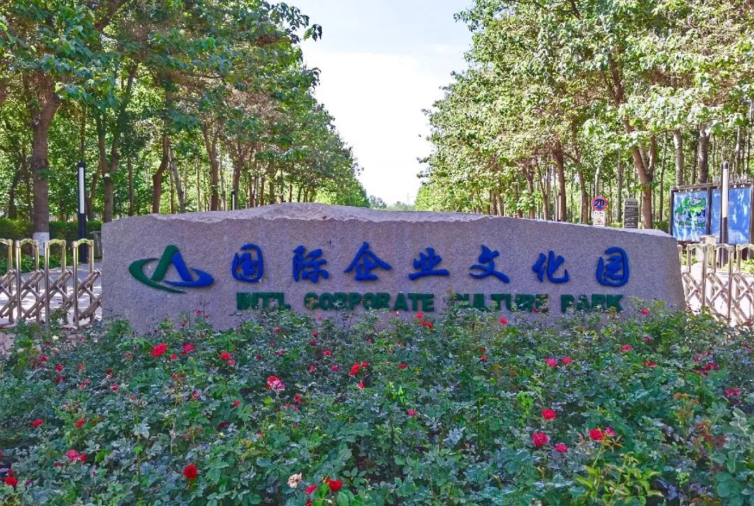 漫游新城|文化荟萃，景色怡人，在这里尽享公园慢时光