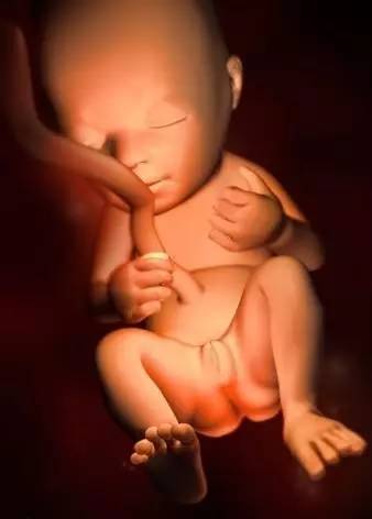 胎儿在子宫里是粘在子宫吗,宝宝在肚子里会无聊不