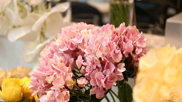 港式茶餐厅水晶虾饺,香港正宗点心虾饺