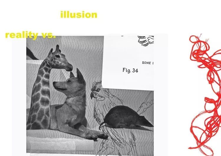 黑科技可拍照,黑科技拍照真实图片