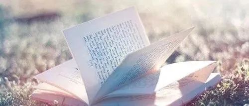 这几个公众号值得你每晚细细品读,这几个公众号带你进行深度阅读