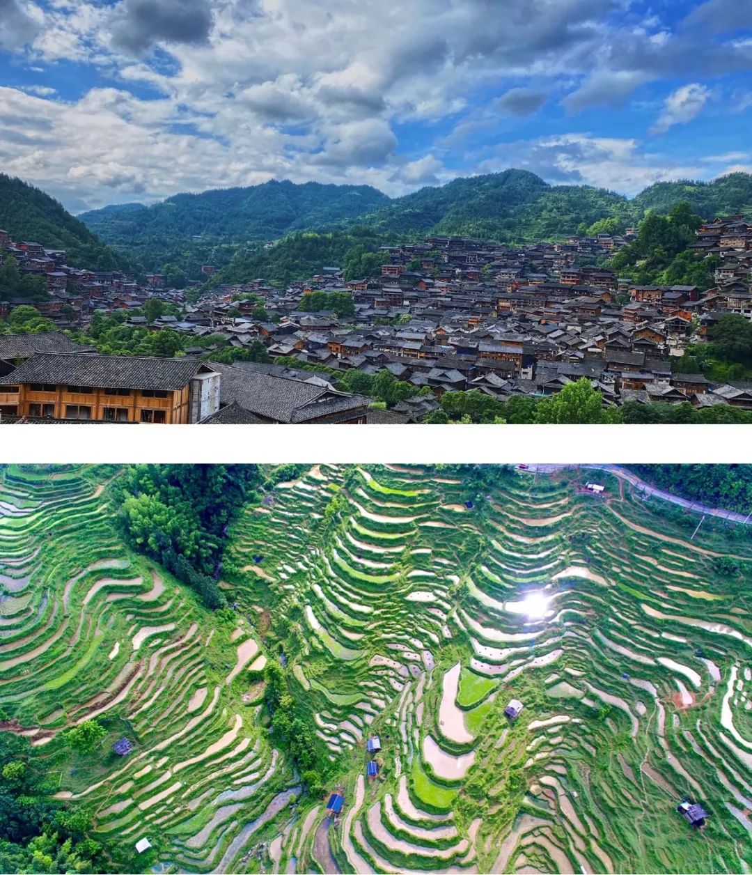 现在买随心飞合适吗,还能买随心飞吗