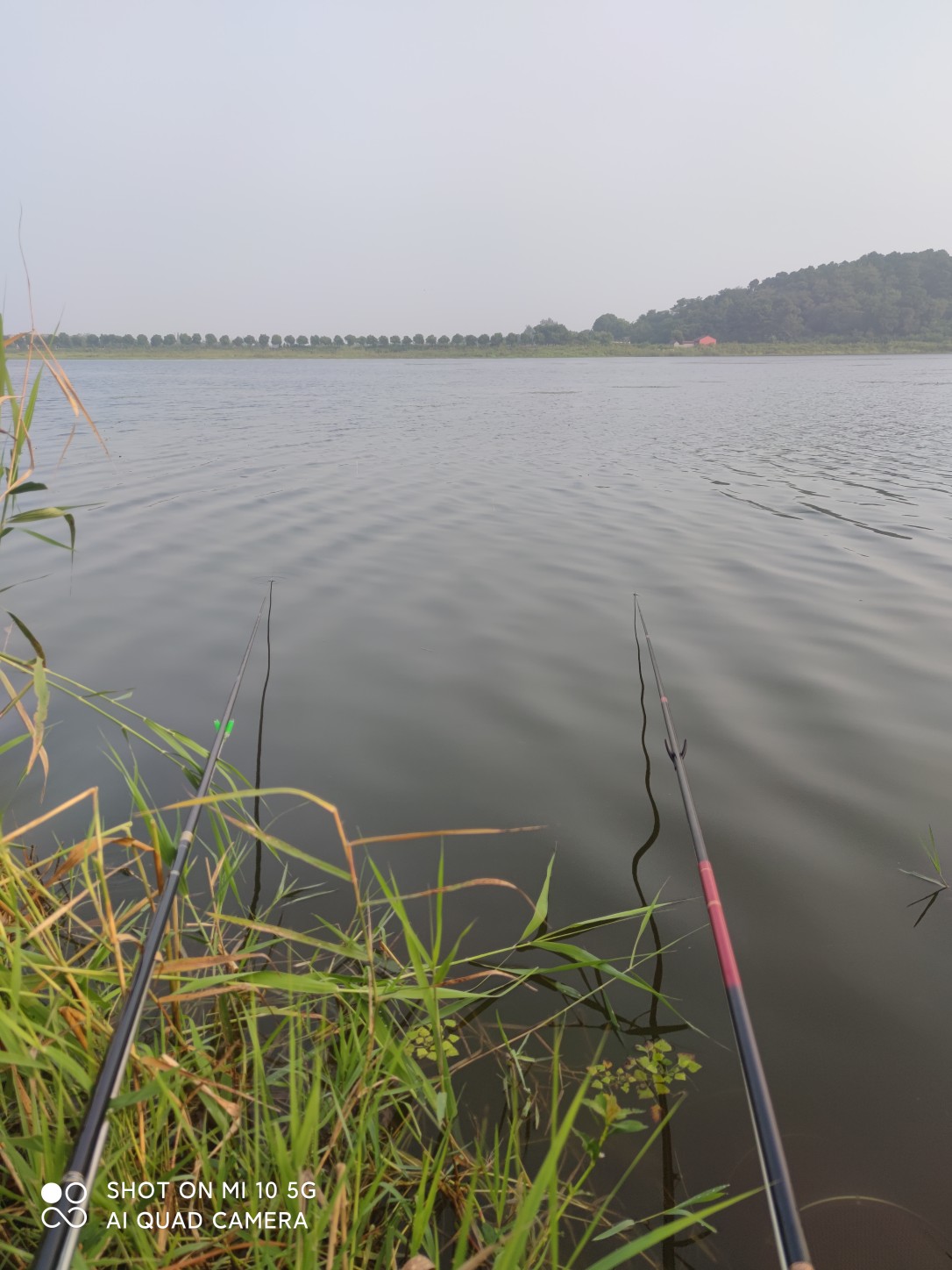 水底暗草多怎么解决,水底暗草多如何垂钓