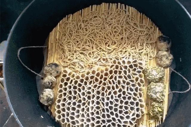 美食荒漠什么意思,美食荒漠大挑战