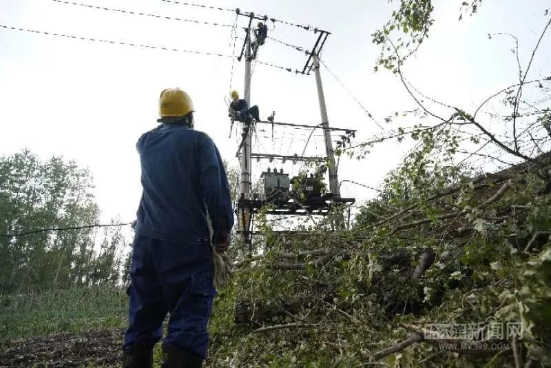 “巴威”到哈即“停编”，但是暴雨没完丨有站点累计降水量超70毫米