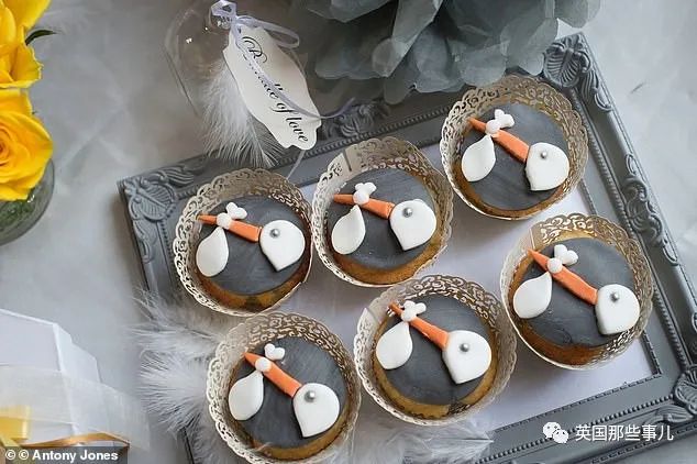 超级有钱的孕妈都咋生娃？居然还有专门打理一切的“孕期管家”....