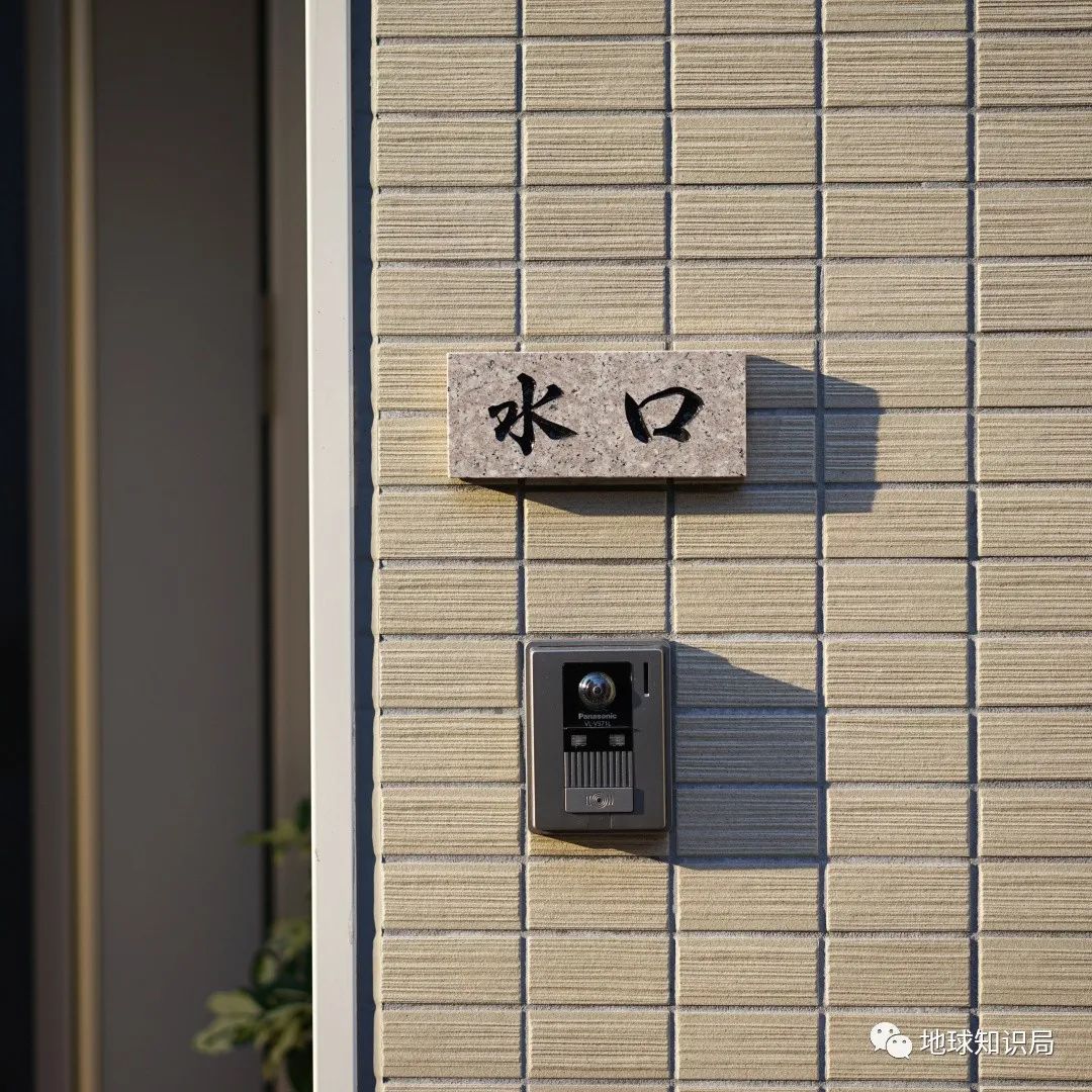 每年倒贴给8万成年男子，这国的收养怪癖，合法