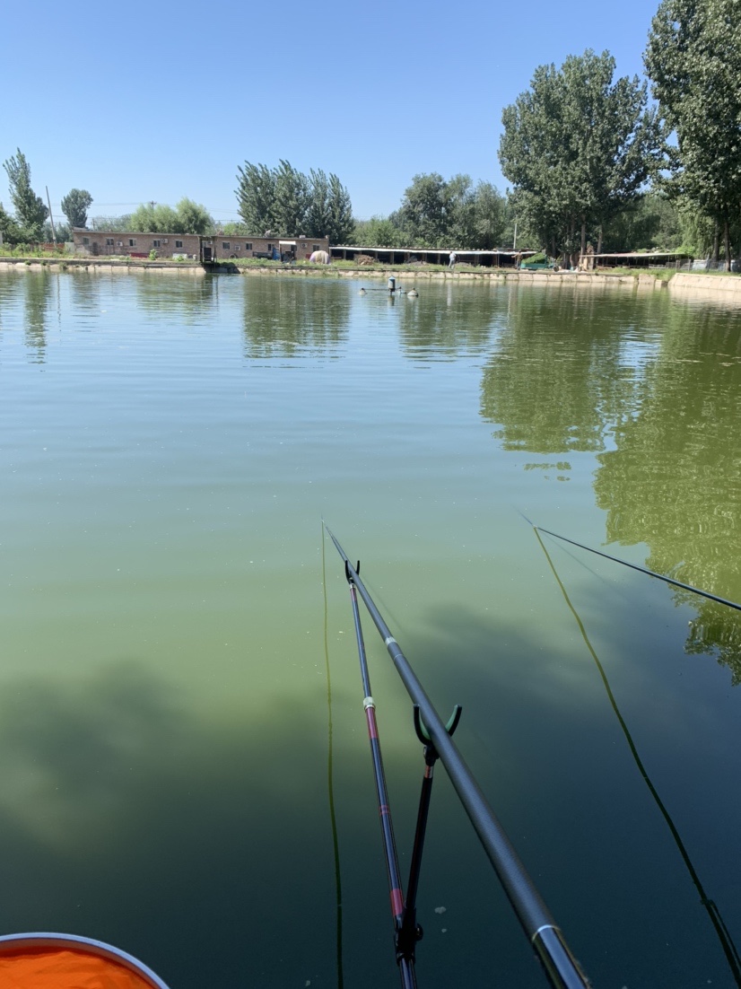 再战小水坑,今日有大收获