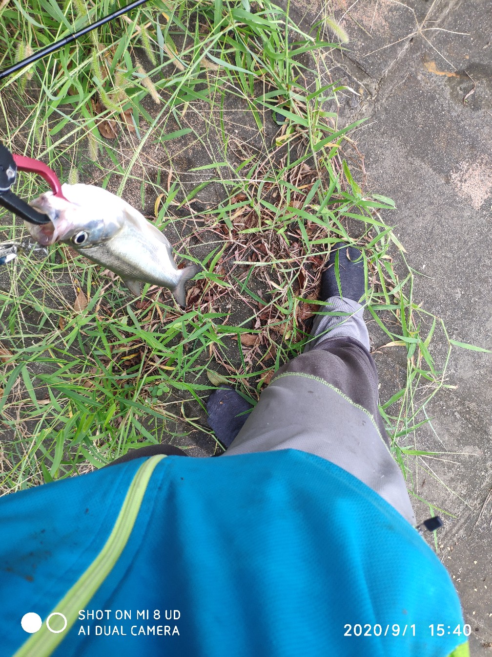 路亚铅头钩实用操作手法,路亚铅头钩零基础教学