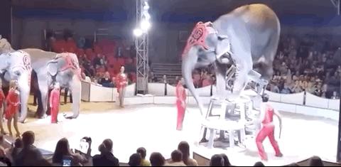 被铁链绑住，注射避孕药，连续伺候几百人后，她挣扎着死去……