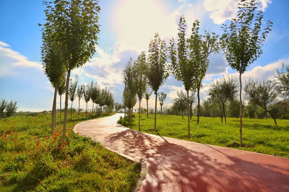 花田之约，醉美其中…