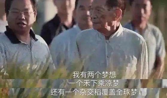 袁隆平三个儿子共生几个孙子孙女,袁隆平和两个孙女合影