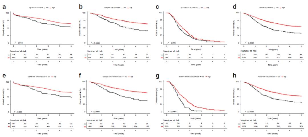 克罗恩病回肠末端造瘘,克罗恩病出现回肠末端溃疡