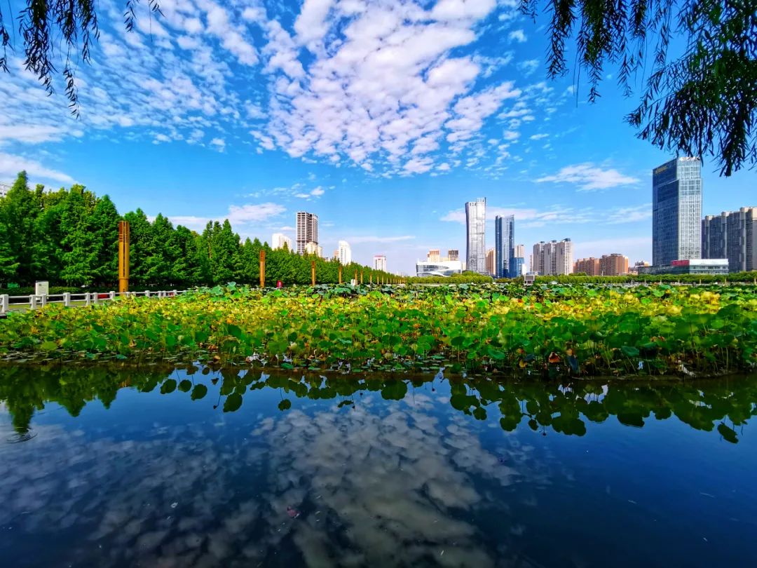大美河南洛阳城市,美丽河南
