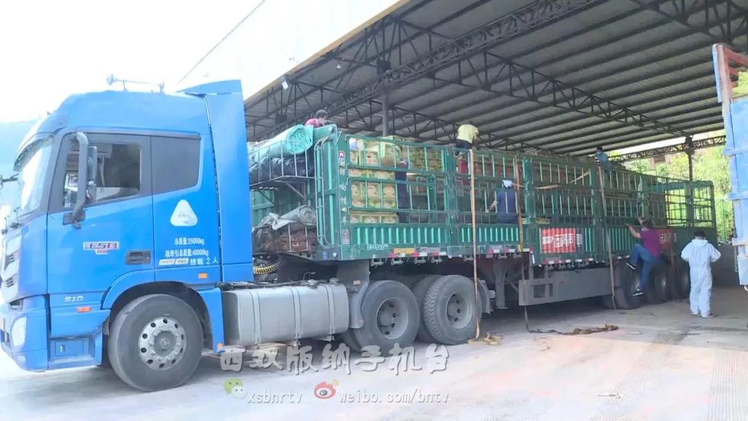 磨憨口岸水果进口情况,水果出口行情