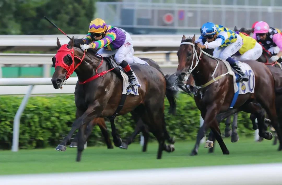 太厉害！昨天香港新马季开锣赛闭门谢客赛马，仅场外总投注额达13.76亿，打破历年纪录
