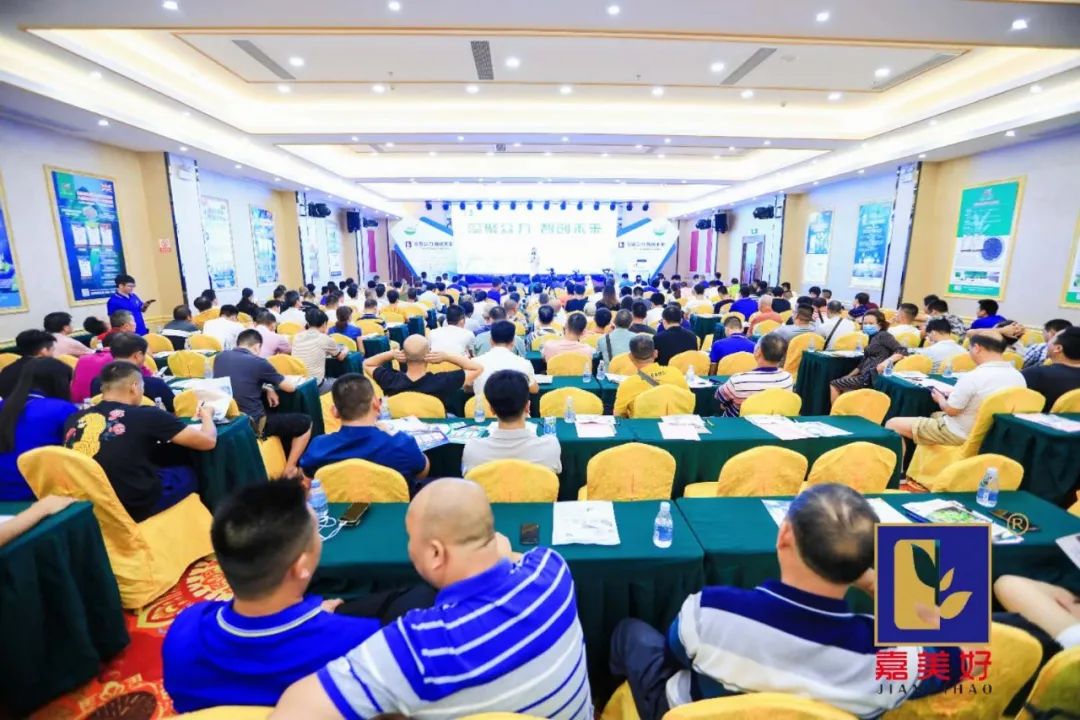 广东嘉美好进出口,广东嘉美好公司