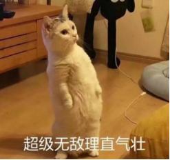 加油站的油储存在哪,加油站的油在哪里储存着