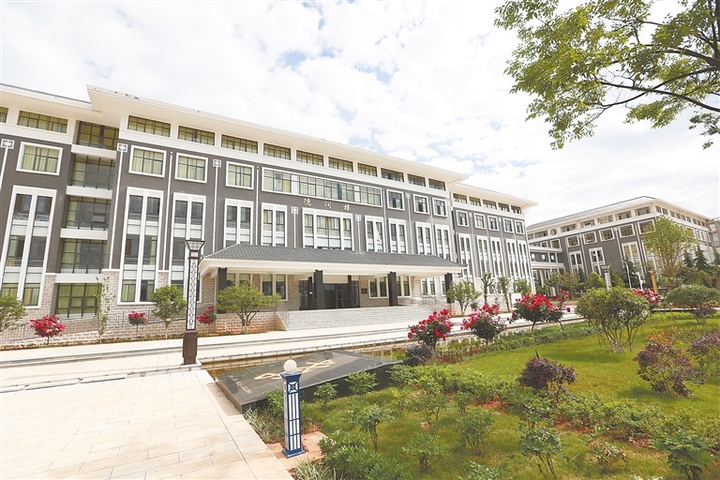 全力打造教育强区,擦亮学校品牌