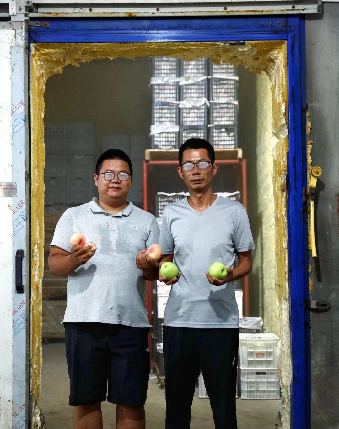 昔日烟台外贸果飞入全国千万家