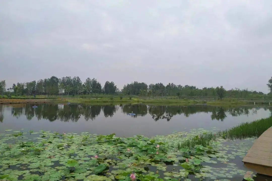 推荐一个假期亲子出游的好地方,北京亦庄周末去哪儿玩