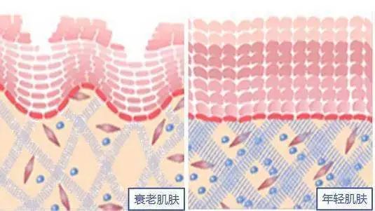 小茂面霜怎么样,小茂最好用的护肤品