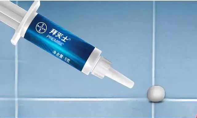 让蟑螂来一只死一窝的方法,蟑螂克星一窝端