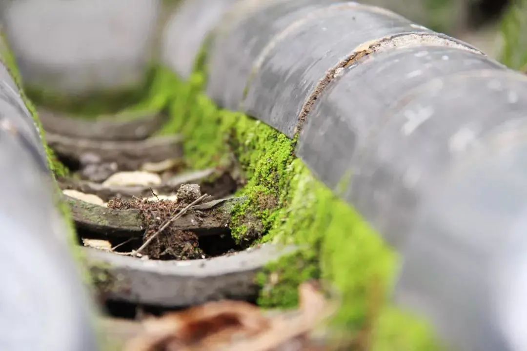 七彩西昌夜景美图,七彩西昌全景图