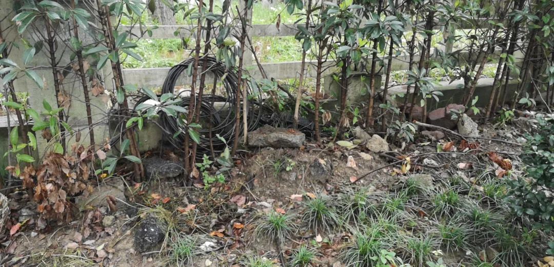 欠收拾图片,宝宝欠收拾