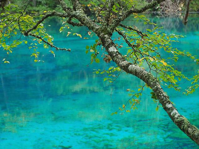 初秋,与神话九寨的浪漫之约