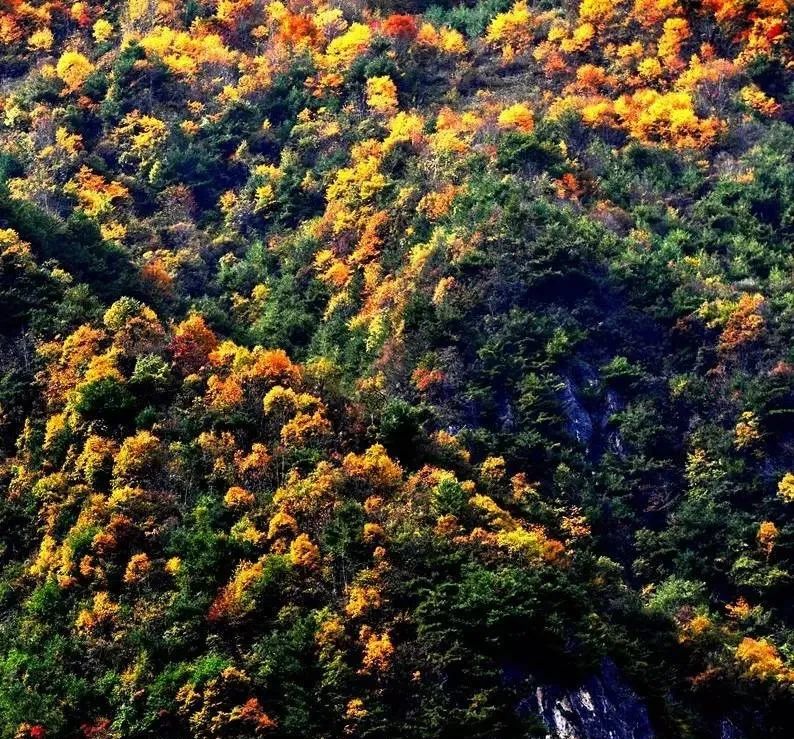 武都旅游景点大全,武都旅游线路