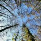 一堂拯救股民的公开课,拯救30万股民